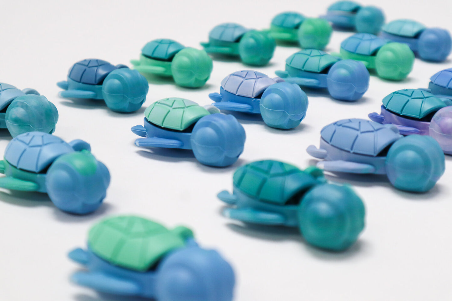 Calm Buddi Turtle - Ocean