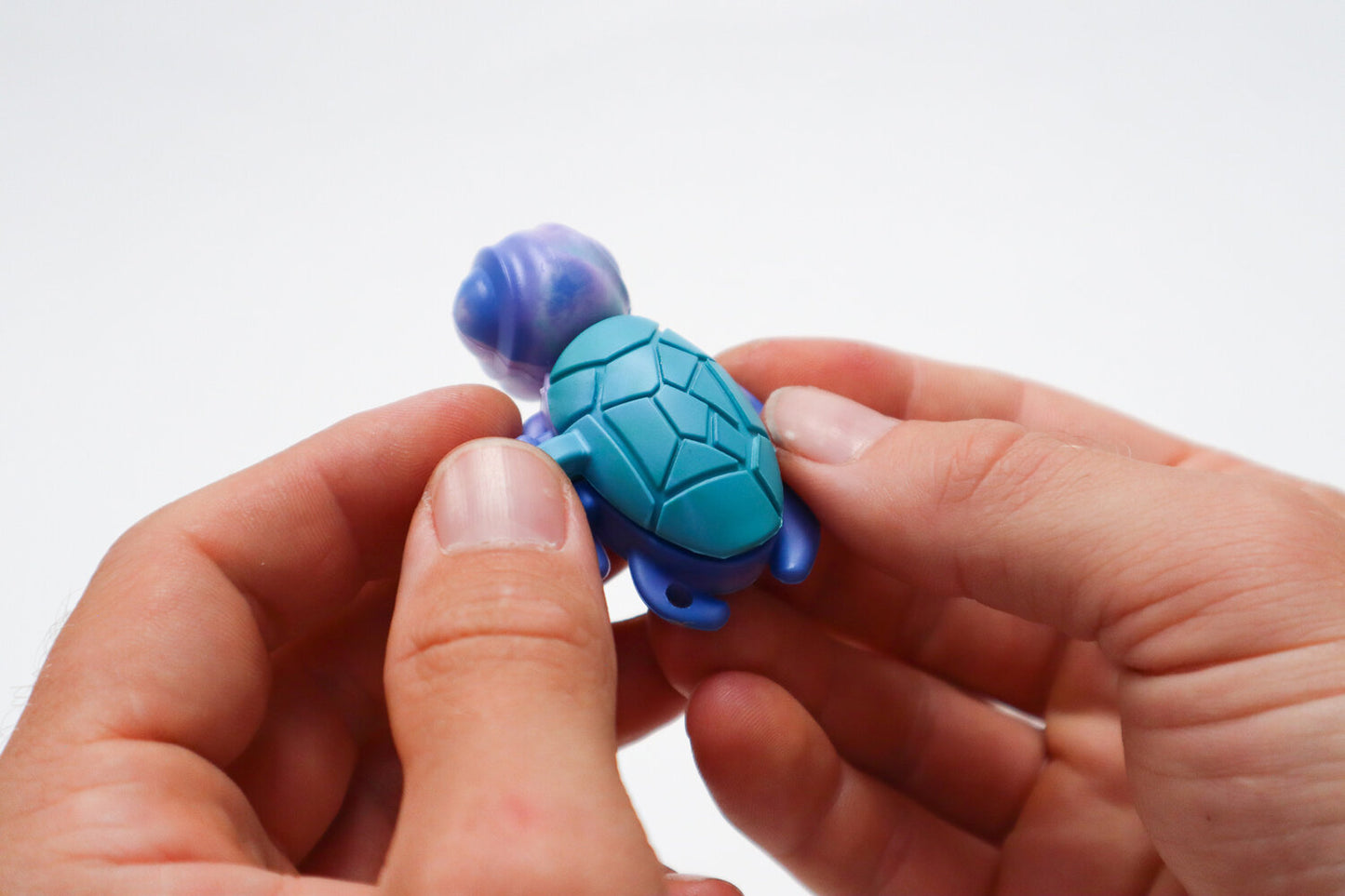 Calm Buddi Turtle - Ocean