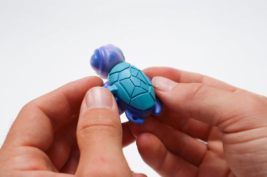 Calm Buddi Turtle - Ocean